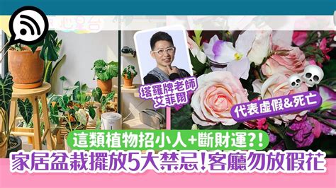 家放假花|2024年假花擺放指南